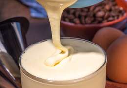 IgluCruise.Application.ViewModels.Shared.WebImageViewModel?.Description