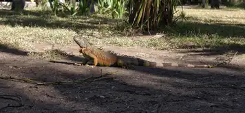 Image related to Parque Eco-Arqueológico Copalita