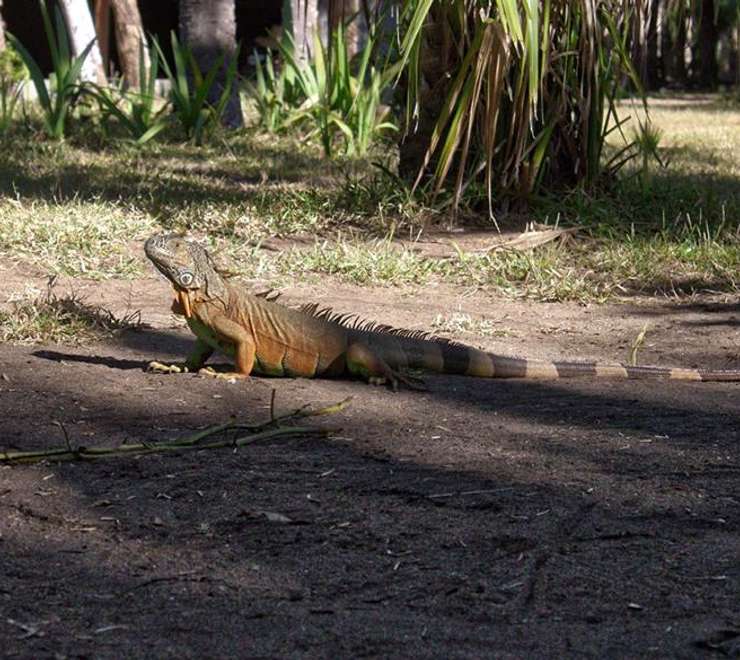 Parque Eco-Arqueológico Copalita