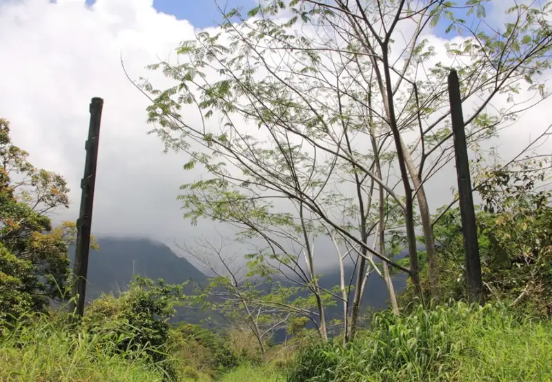 Jurassic Park Gate