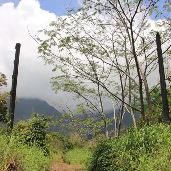 Image related to Jurassic Park Gate