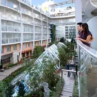 Neighborhood Guarantee cabin - Allure of the Seas