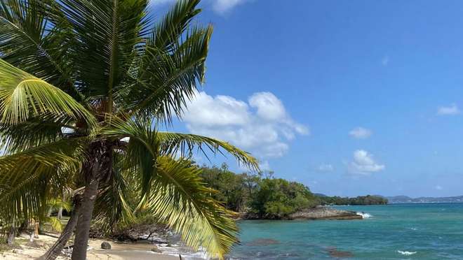 Discover a vibrant yachting harbour in the lush southern reaches of Martinique.
