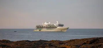 Image related to Silver Origin