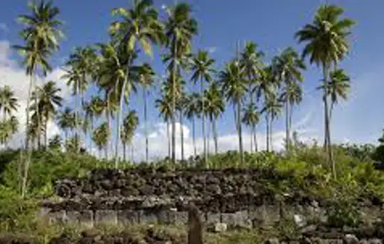 Image related to Opunohu Archaeological Sites