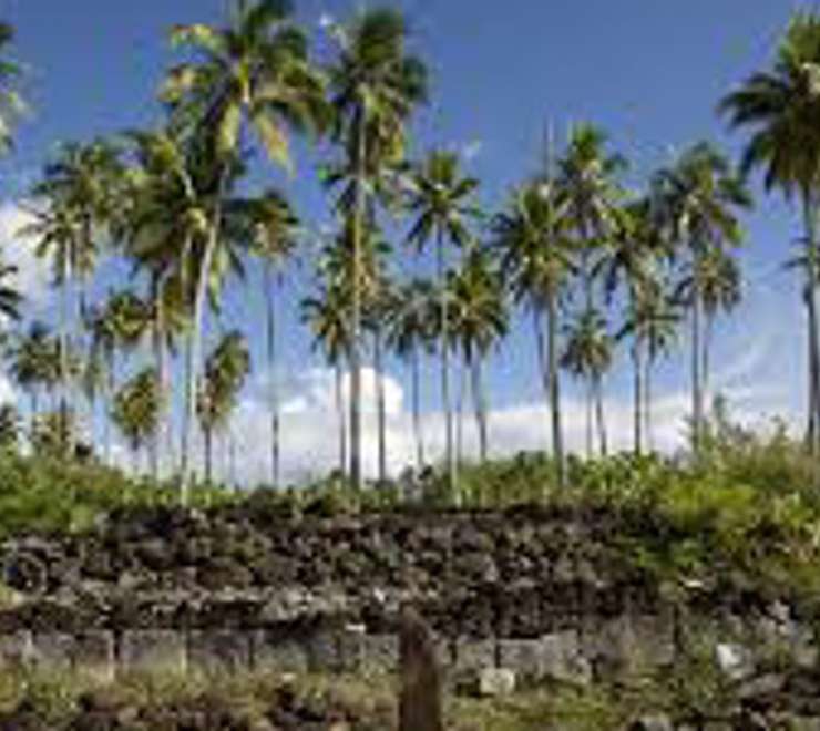 Opunohu Archaeological Sites