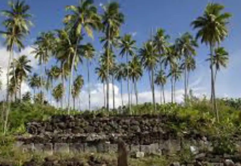 Opunohu Archaeological Sites