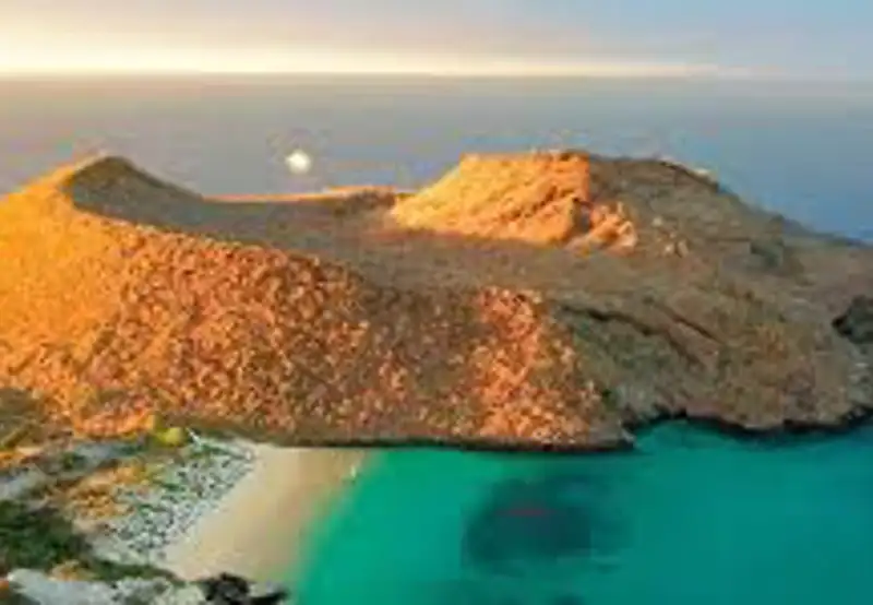 Champion Island