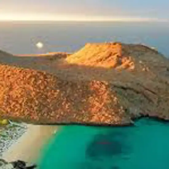 Image related to Champion Island
