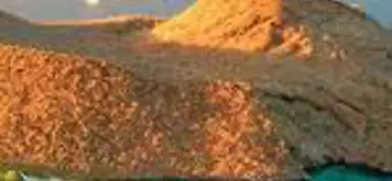 Image related to Champion Island