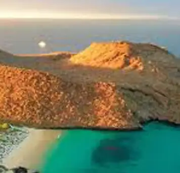 Image related to Champion Island