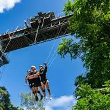Image related to Skypark Cairns by AJ Hackett