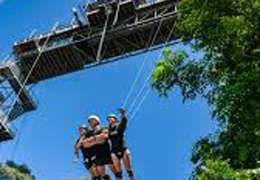 IgluCruise.Application.ViewModels.Shared.WebImageViewModel?.Description