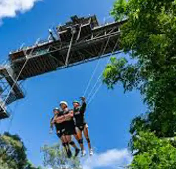 Image related to Skypark Cairns by AJ Hackett