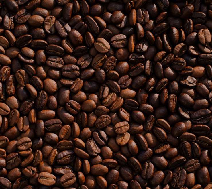 Filadelfia coffee plantation