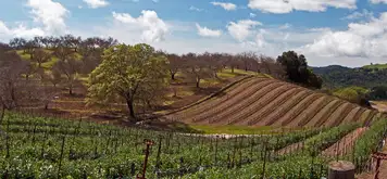 Paso Robles