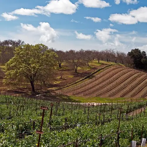 Image related to Paso Robles