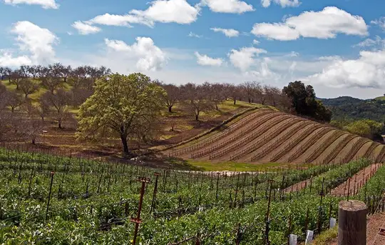 Image related to Paso Robles