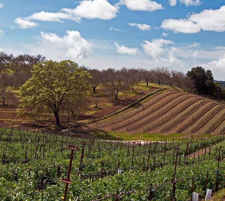Paso Robles
