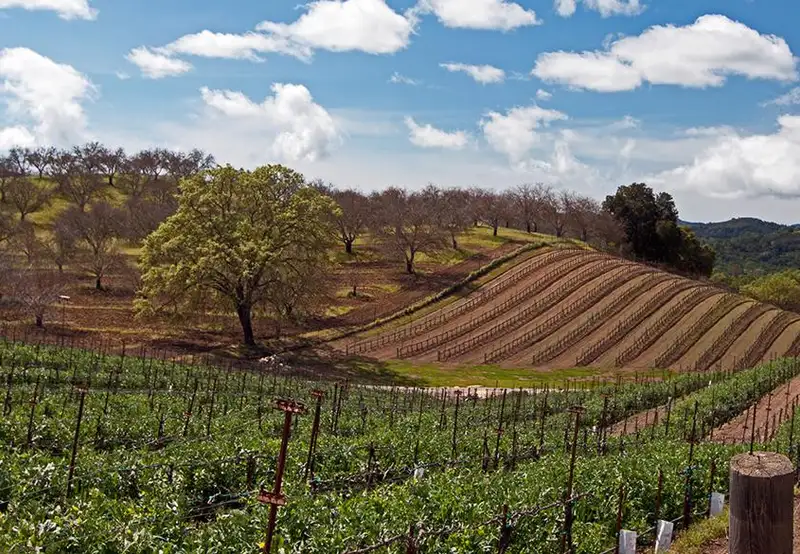 Paso Robles