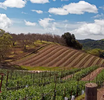 Image related to Paso Robles