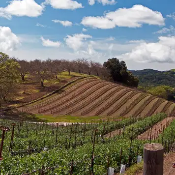 Image related to Paso Robles