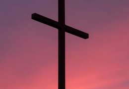 IgluCruise.Application.ViewModels.Shared.WebImageViewModel?.Description