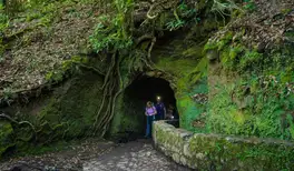 Image related to WWII History Tours