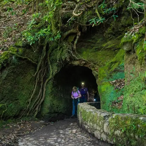 Image related to WWII History Tours