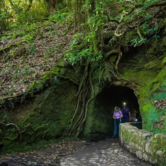 Image related to WWII History Tours