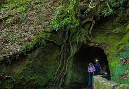 IgluCruise.Application.ViewModels.Shared.WebImageViewModel?.Description