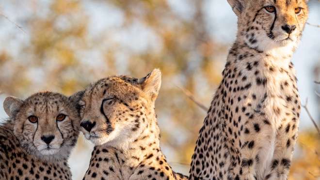 Travel from Stellenbosch to Sanbona Wildlife Reserve