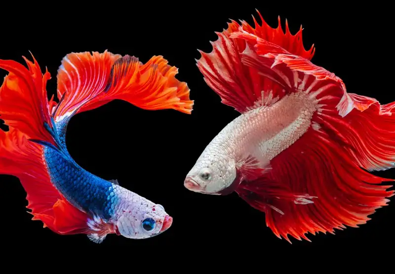 Gdynia Aquarium