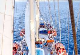 Climb the Mast