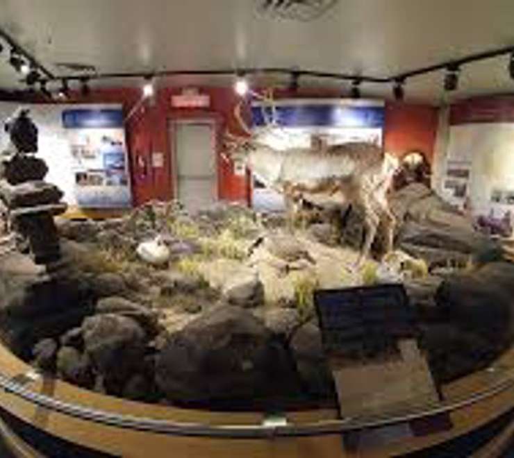 Visit the Uqqurmiut Centre