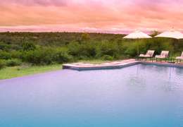 IgluCruise.Application.ViewModels.Shared.WebImageViewModel?.Description