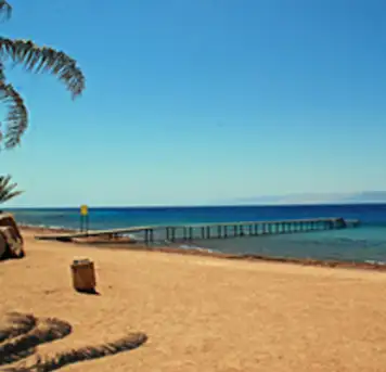 Image related to Aqaba Marine Park