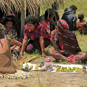Image related to Village Tours