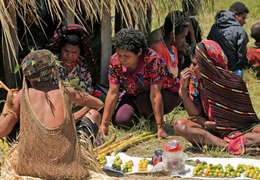 IgluCruise.Application.ViewModels.Shared.WebImageViewModel?.Description