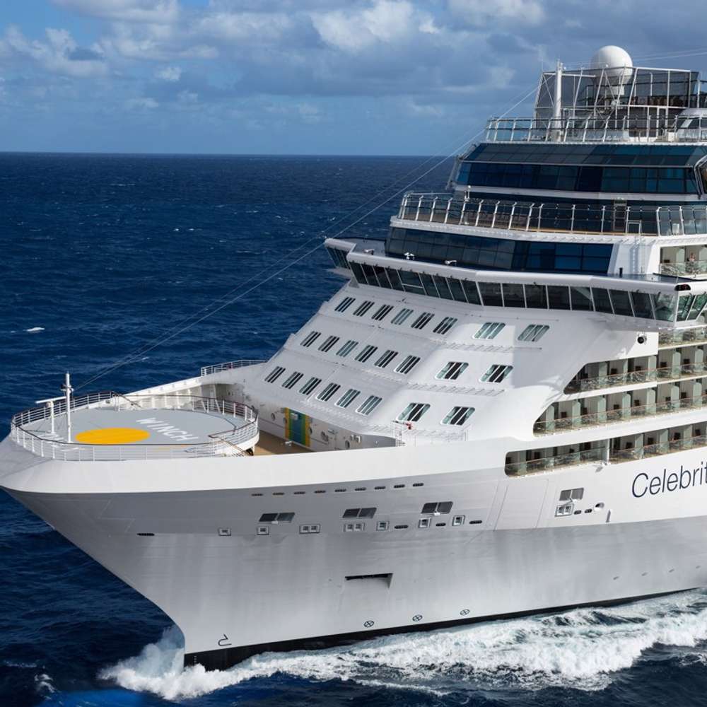 Celebrity Reflection