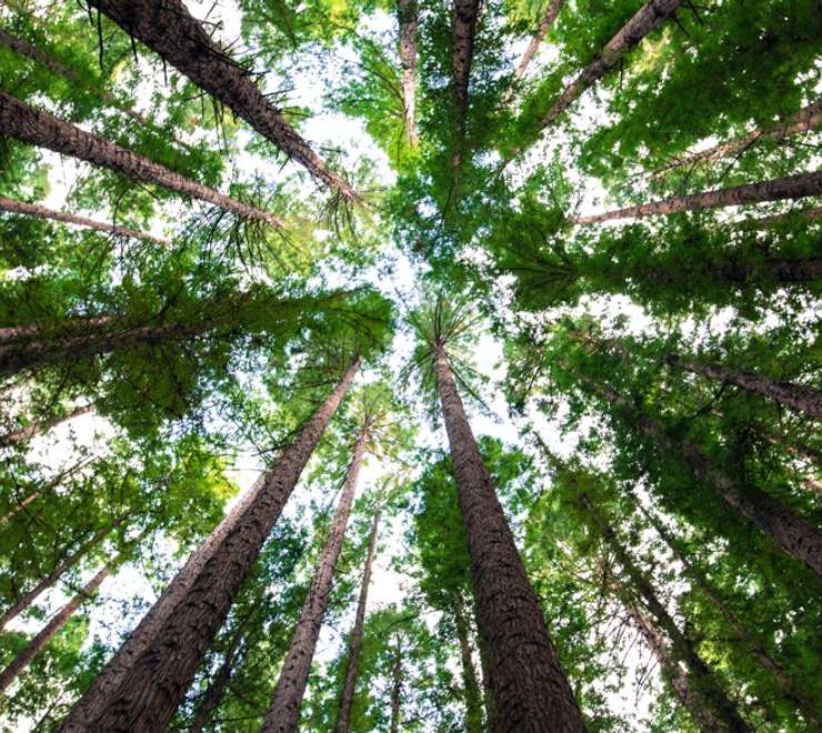 Parque Nacional Chagres