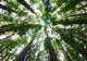 Parque Nacional Chagres