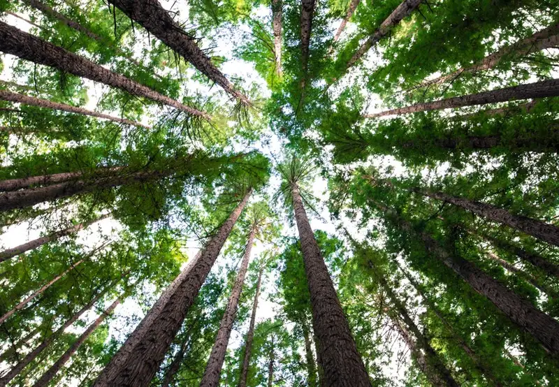 Image related to Parque Nacional Chagres