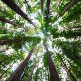 Image related to Parque Nacional Chagres