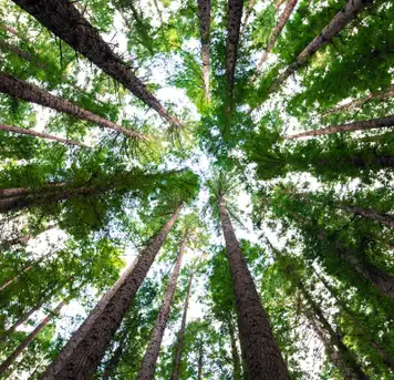 Image related to Parque Nacional Chagres