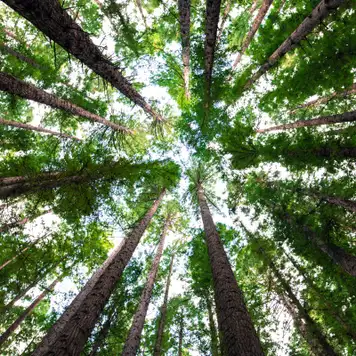 Image related to Image related to Parque Nacional Chagres