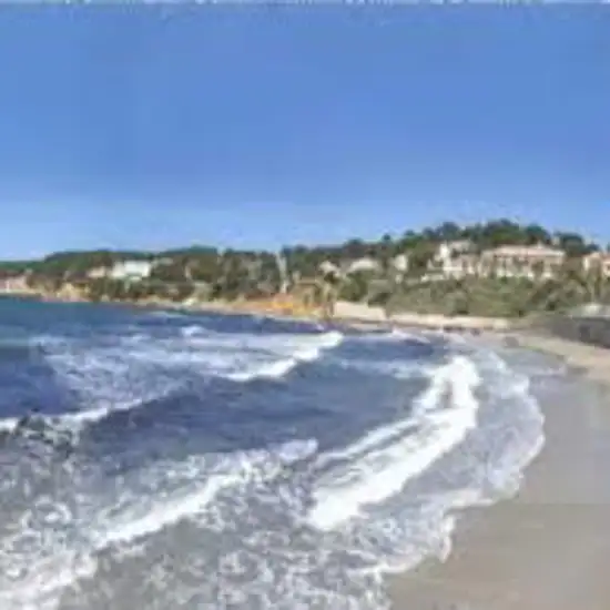 Image related to Plage de Portissol