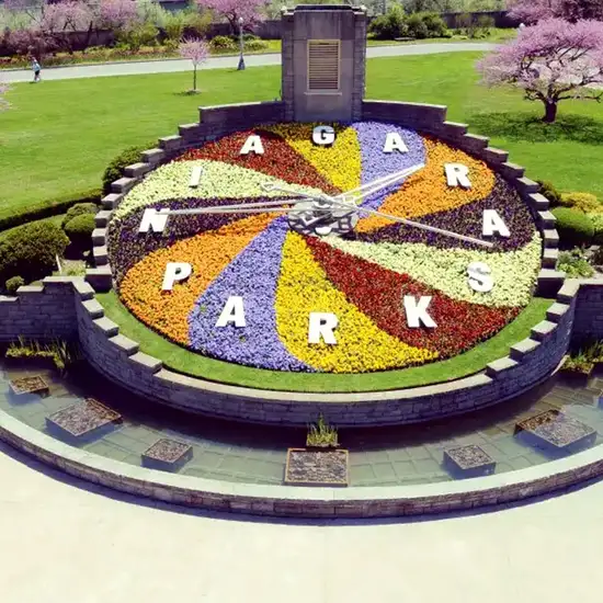 Image related to Floral Clock