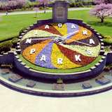 Image related to Floral Clock