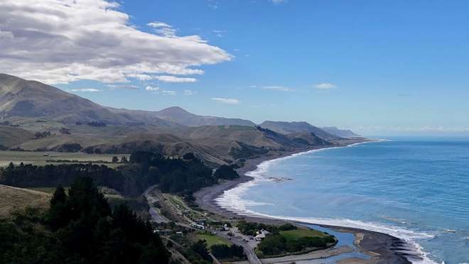 Watch whales and dolphins off a stunning New Zealand coast where mountains meet sea.